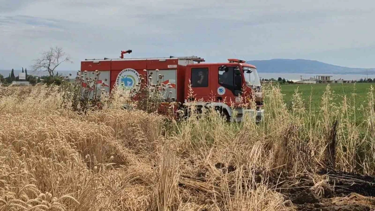 Tekirdağ'da sigara yangını: 100 dekar buğday tarlası yandı