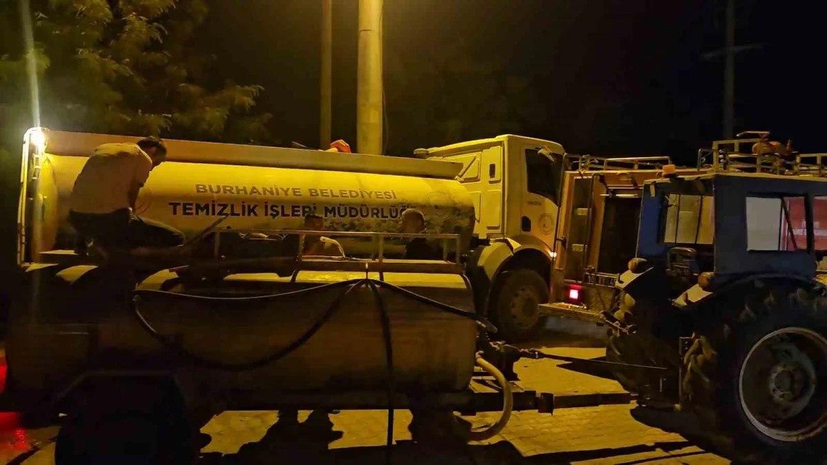 Burhaniye Şarköy'de örtü yangını zeytinlikleri tehdit etti