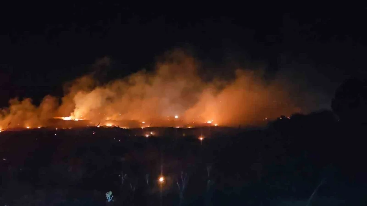 Burhaniye Şarköy'de örtü yangını zeytinlikleri tehdit etti