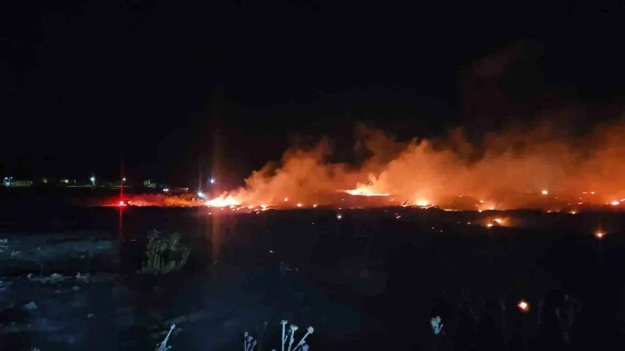 Burhaniye Şarköy'de örtü yangını zeytinlikleri tehdit etti