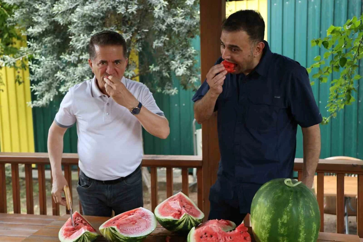 Adana karpuzu nasıl seçilir? Uzmanından püf noktaları