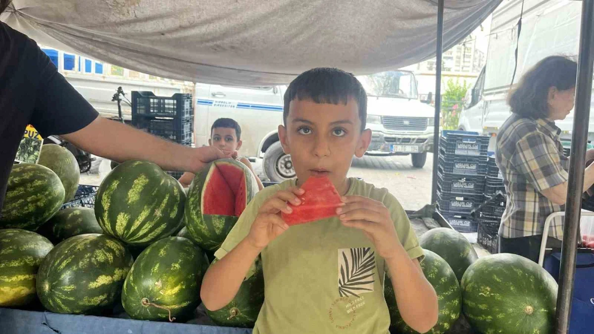 Adana karpuzu nasıl seçilir? Uzmanından püf noktaları