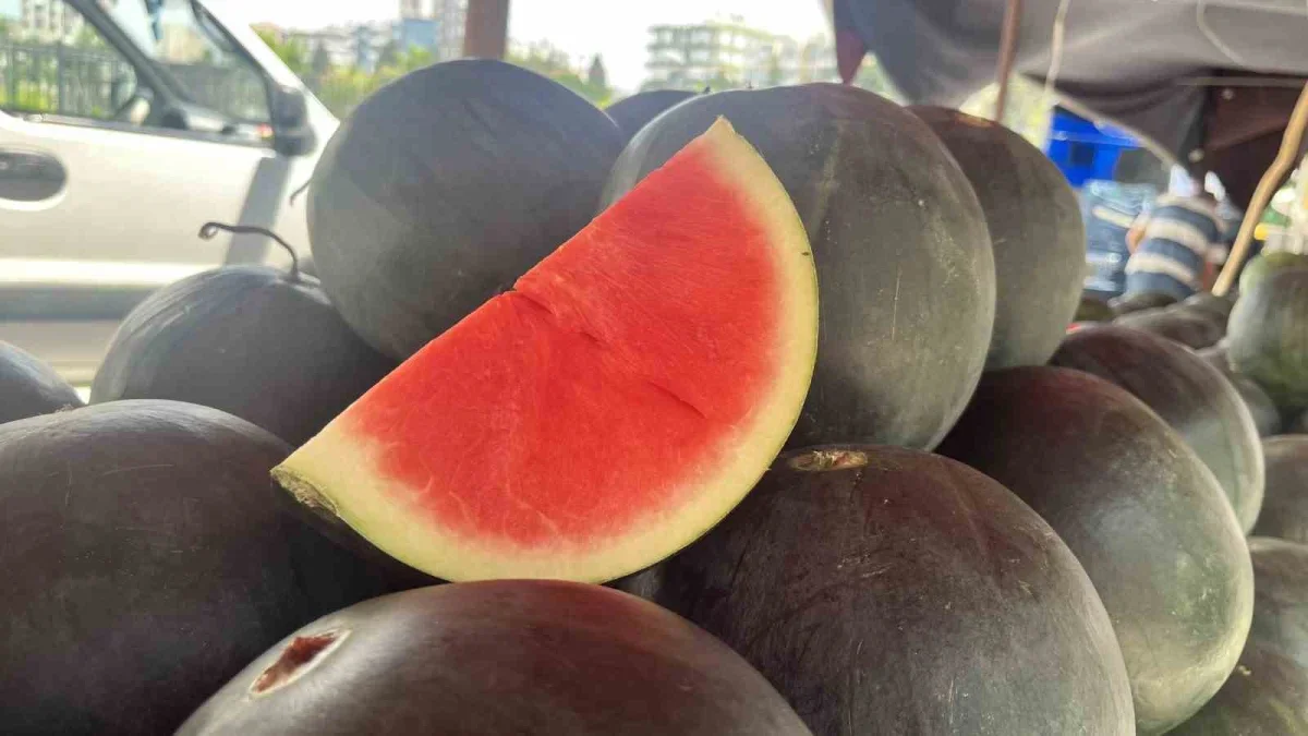 Adana karpuzu nasıl seçilir? Uzmanından püf noktaları