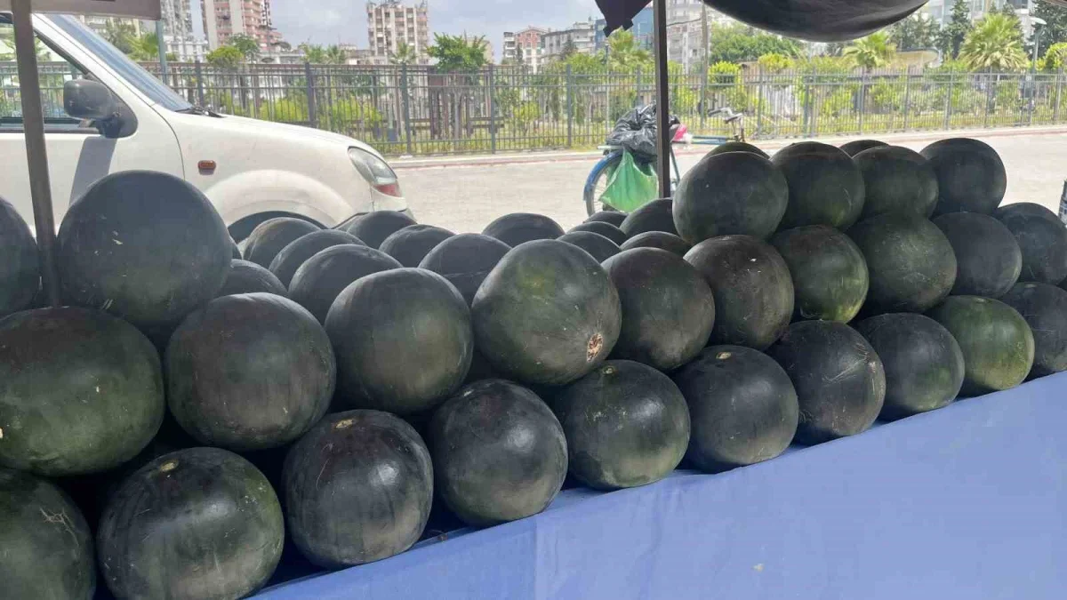 Adana karpuzu nasıl seçilir? Uzmanından püf noktaları