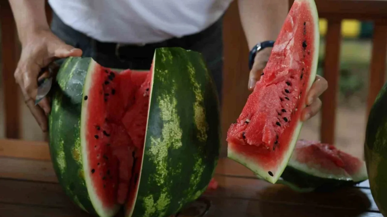 Adana karpuzu nasıl seçilir? Uzmanından püf noktaları