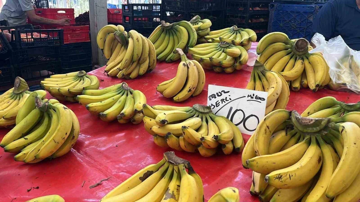 Alanya'da muz fiyatı krizi: Serada 30 lira, pazarda 120 lira