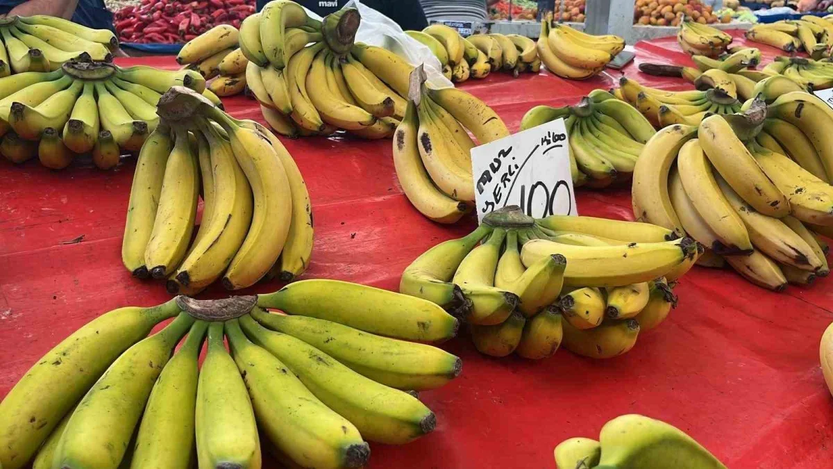 Alanya'da muz fiyatı krizi: Serada 30 lira, pazarda 120 lira