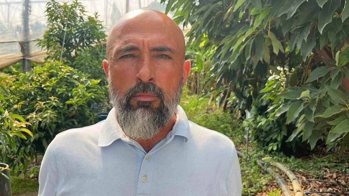 Alanya'da muz fiyatı krizi: Serada 30 lira, pazarda 120 lira