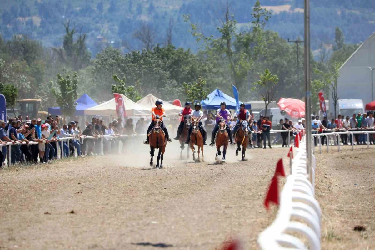 Bursa'da Rahvan At Yarışları nefes kesti, 155 at yarıştı
