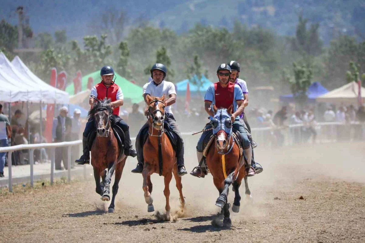 Bursa'da Rahvan At Yarışları nefes kesti, 155 at yarıştı