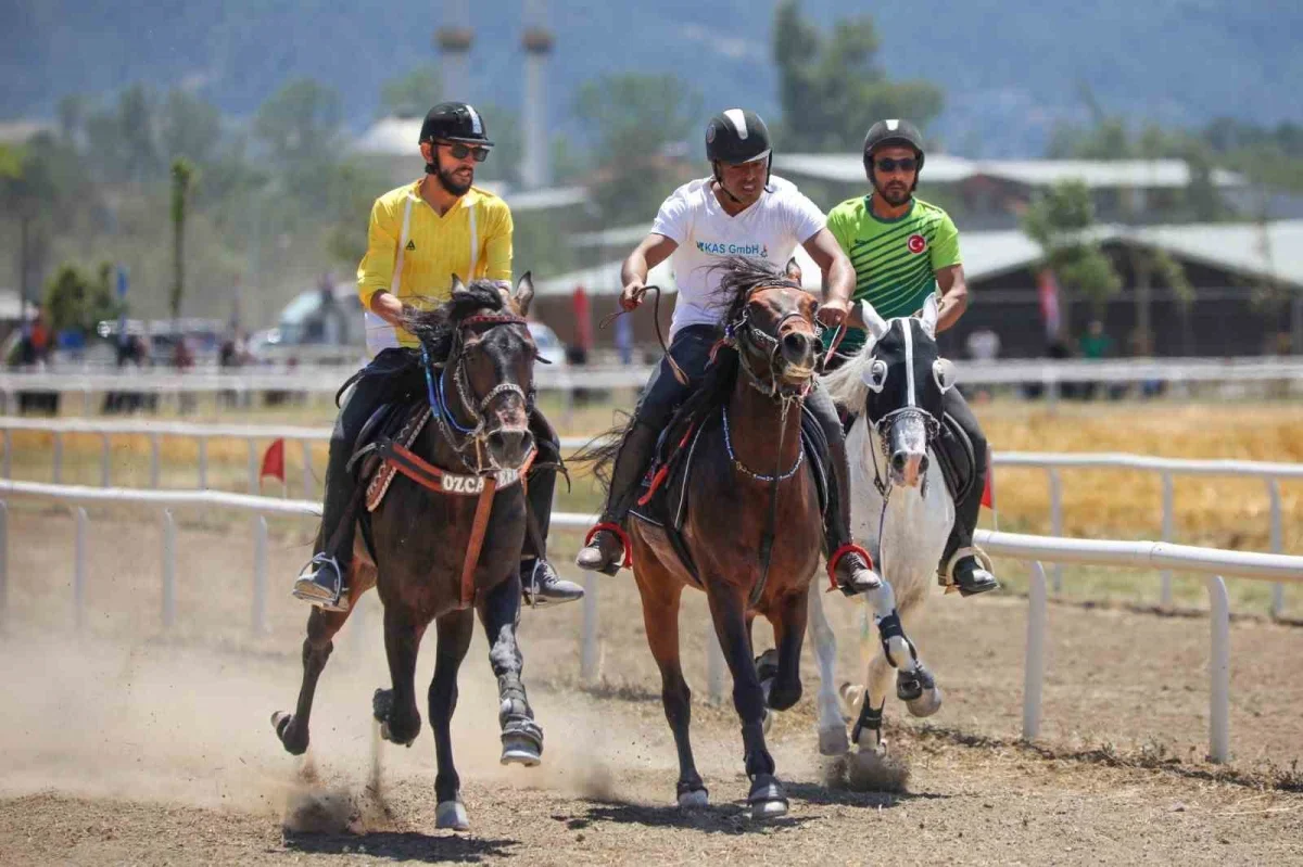 Bursa'da Rahvan At Yarışları nefes kesti, 155 at yarıştı