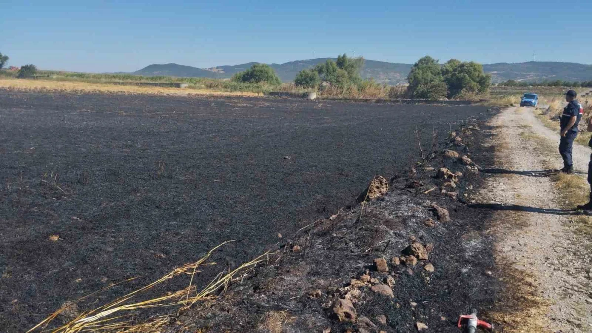 Gönen'de buğday tarlasında çıkan yangın kontrol altına alındı