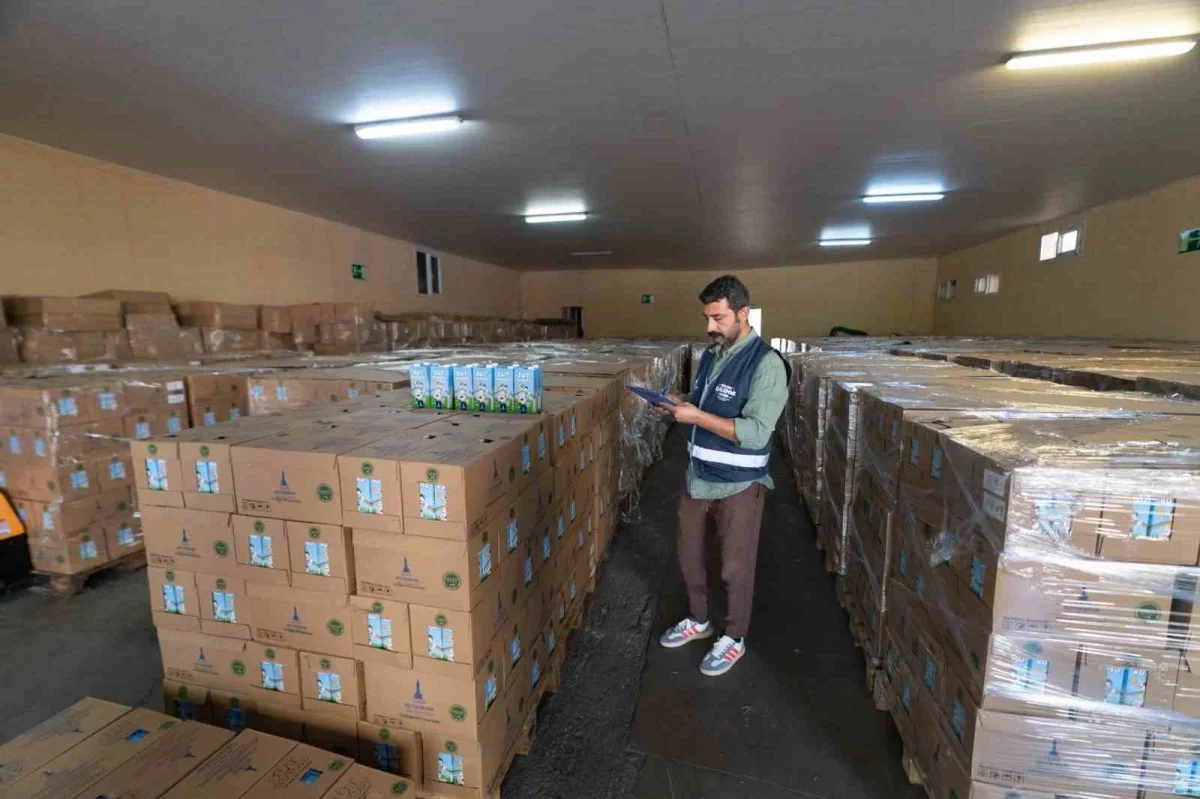 İzmir'de Süt Kuzusu desteği başladı: 2-5 yaşa aylık 8 litre süt