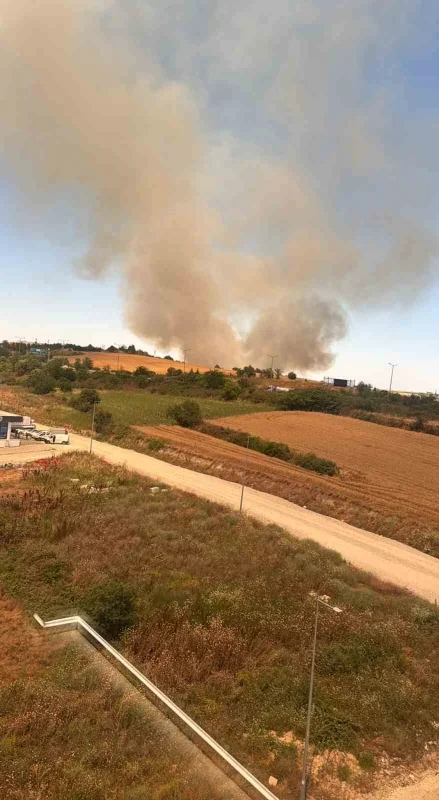 Edirne'de buğday tarlasında çıkan yangın kontrol altına alındı