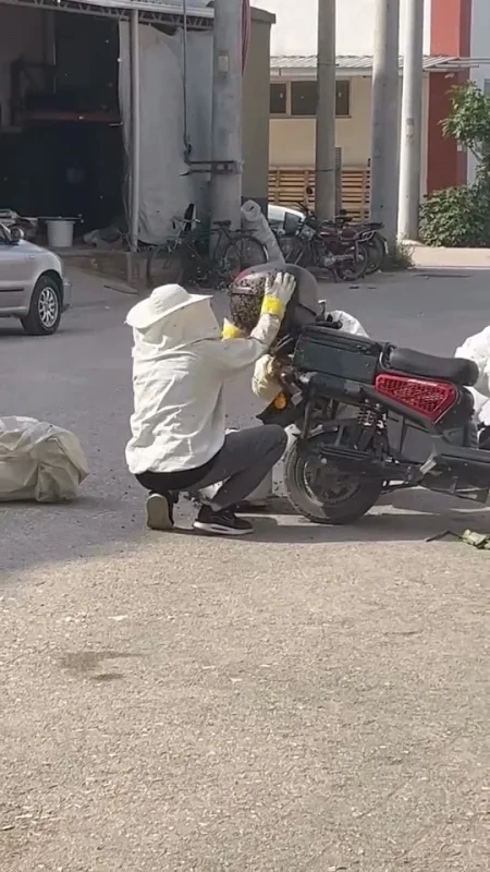 İnegöl'de arılar motosiklette oğul verdi, vatandaşlar panik yaşadı
