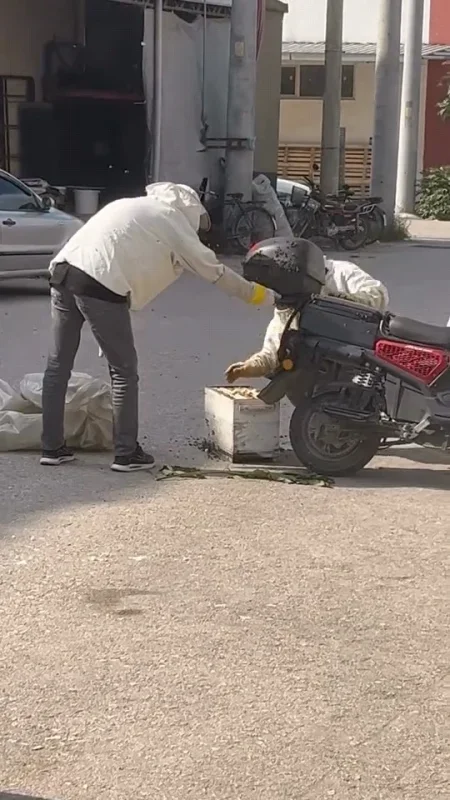 İnegöl'de arılar motosiklette oğul verdi, vatandaşlar panik yaşadı