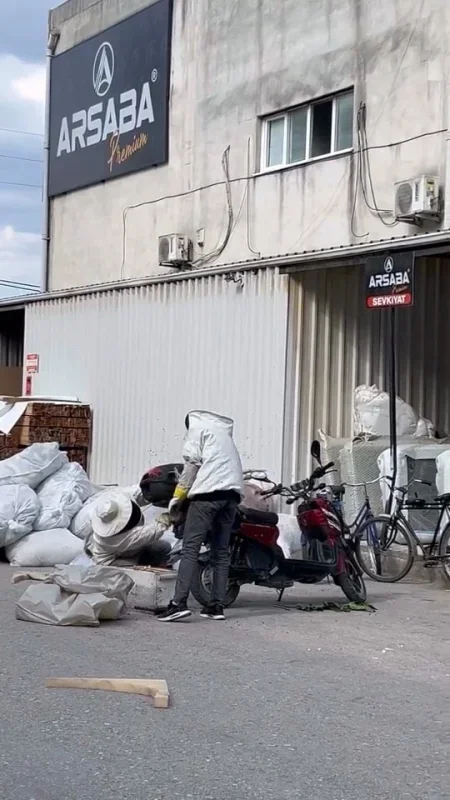 İnegöl'de arılar motosiklette oğul verdi, vatandaşlar panik yaşadı