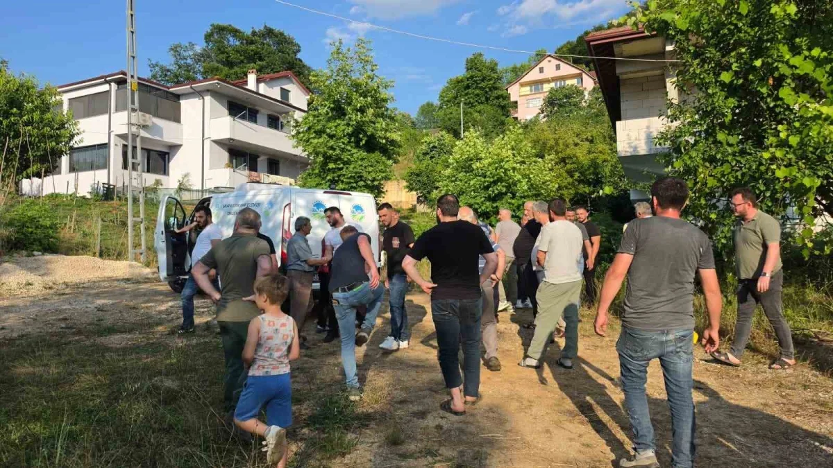 Ihlamur toplamak için çıktığı ağaçtan düşüp hayatını kaybetti