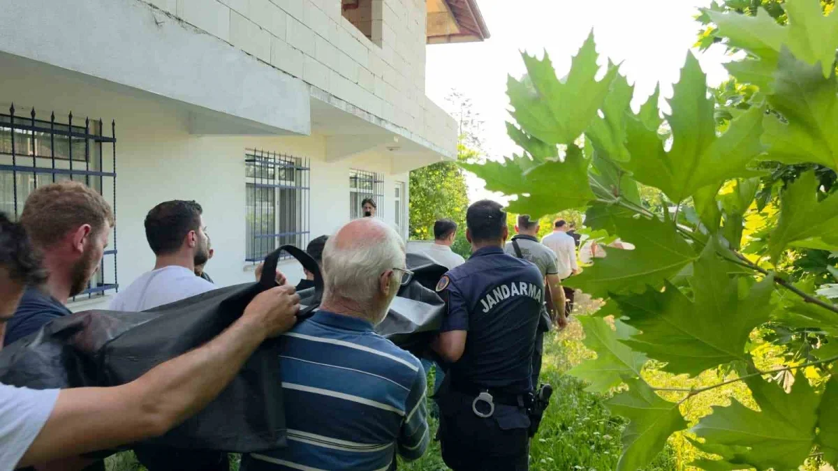 Ihlamur toplamak için çıktığı ağaçtan düşüp hayatını kaybetti