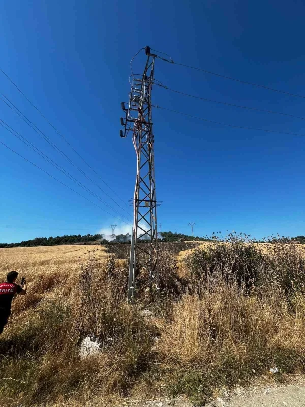 Çanakkale'de elektrik tellerine çarpan karga yangına yol açtı