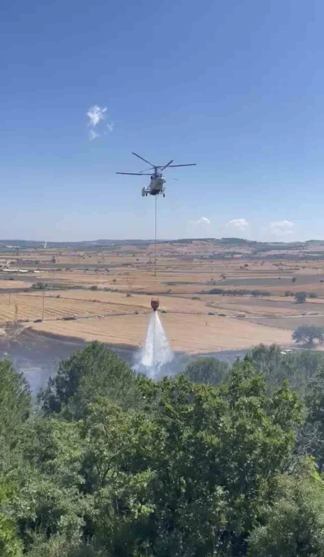 Çanakkale'de elektrik tellerine çarpan karga yangına yol açtı