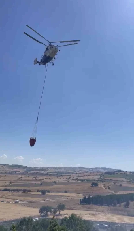 Çanakkale'de elektrik tellerine çarpan karga yangına yol açtı
