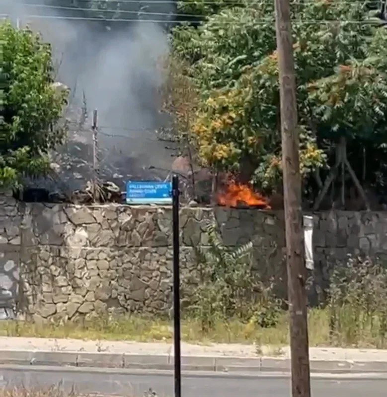 Tekirdağ Hayrabolu'da ot ve buğday yangını paniğe neden oldu