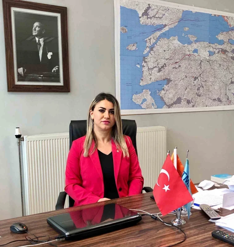 Türkiye'de 215 yeni diri fay keşfedildi: Sayı 700'e çıktı