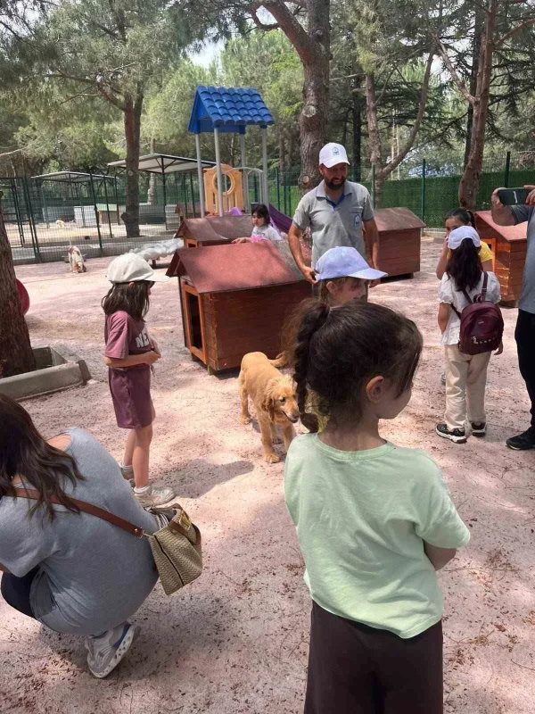 Yıldırım'da sahipsiz sokak hayvanları merkezi öğrencilere açıldı