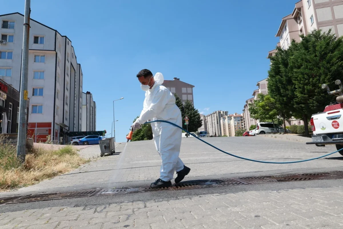 Osmangazi Belediyesi haşere ve kemirgenle mücadeleyi sürdürüyor