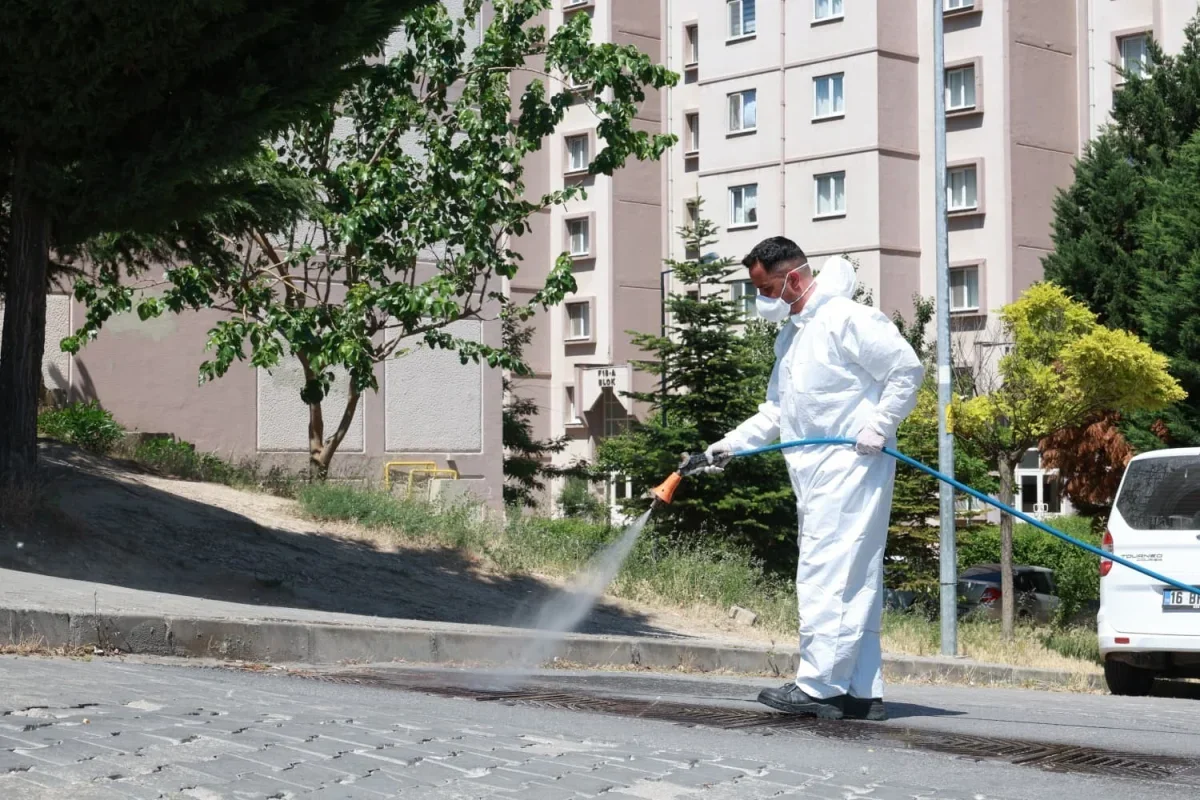 Osmangazi Belediyesi haşere ve kemirgenle mücadeleyi sürdürüyor