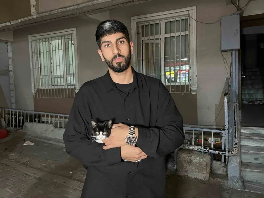 Küçükçekmece'de düşen kedi şemsiye ile kurtarıldı