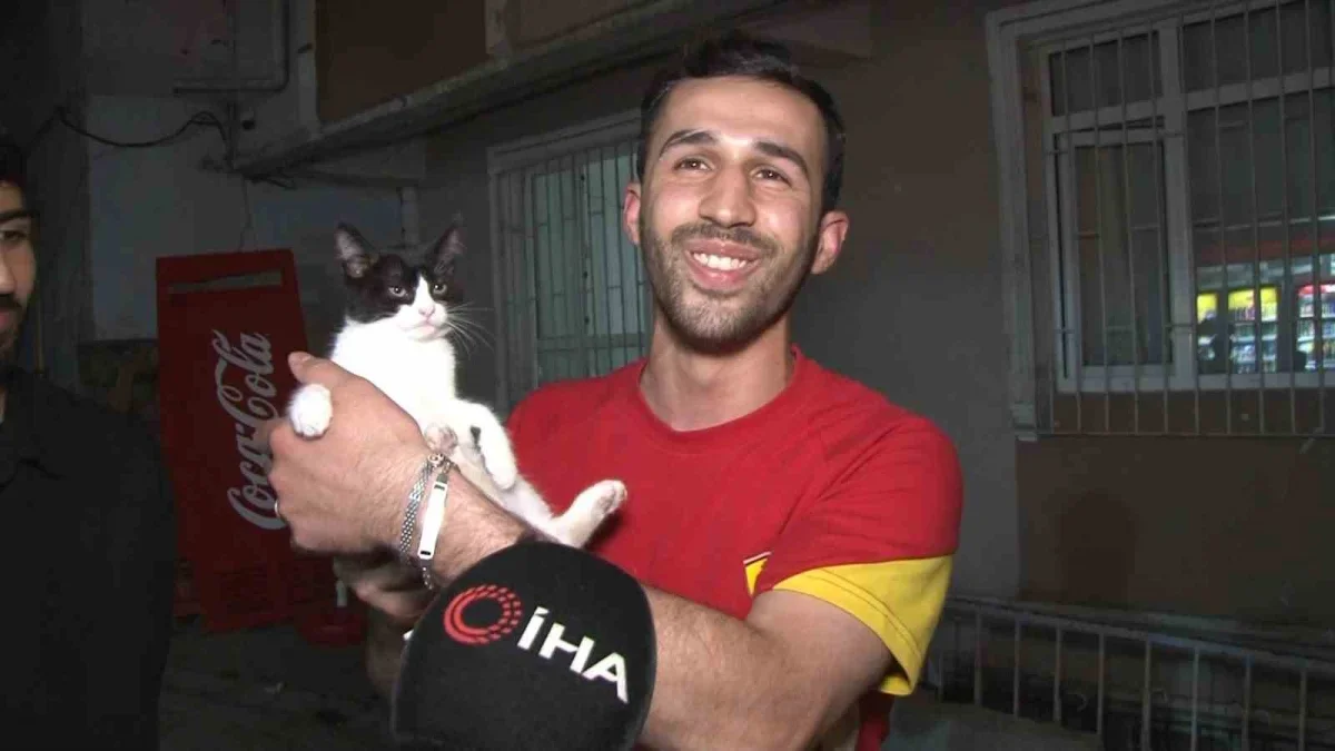 Küçükçekmece'de düşen kedi şemsiye ile kurtarıldı