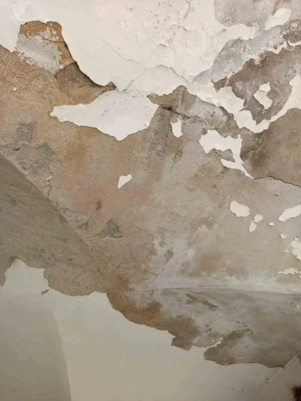 Bursa'da İç Fidan Han 12 yıldır restorasyon bekliyor