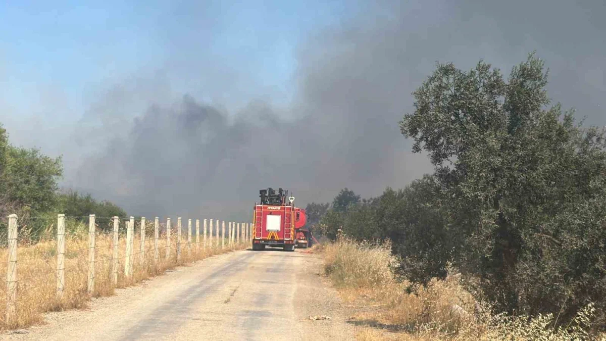 Edremit'te eski çöp depolama alanı yangını zeytinliklere sıçradı