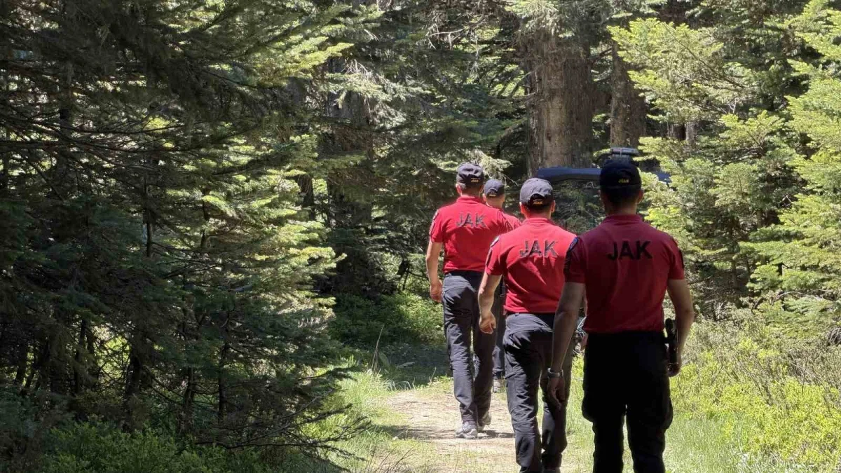 Bursa'da ormanlara girişler 20 Haziran-15 Ekim arasında yasak