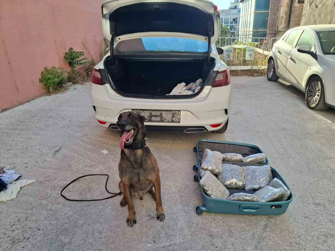 Balıkesir polisinden rekor uyuşturucu operasyonu: 235 bin hap