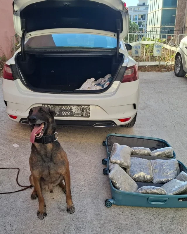Balıkesir polisinden rekor uyuşturucu operasyonu: 235 bin hap