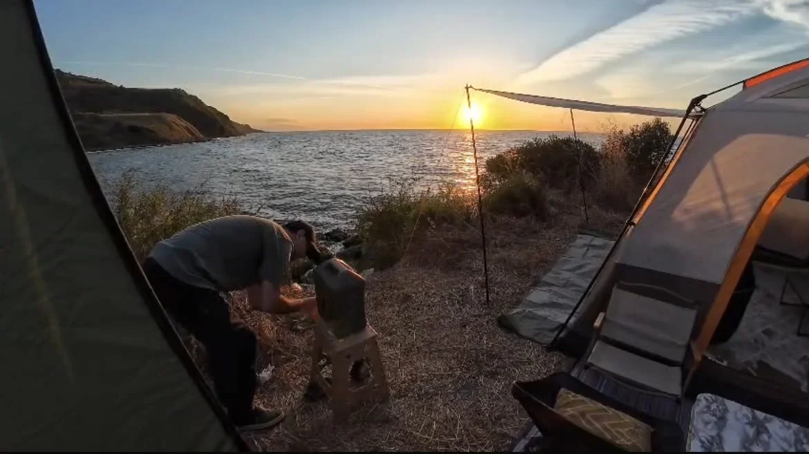 Mudanya'da çakal kamp alanına girip ekmek çaldı