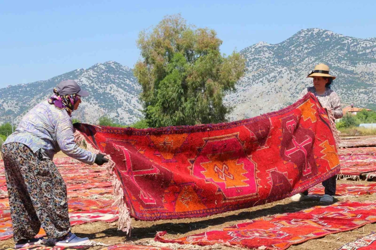 Antalya'daki halı tarlası turistlerin yeni ilgi odağı oldu