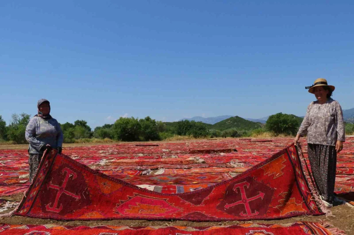 Antalya'daki halı tarlası turistlerin yeni ilgi odağı oldu