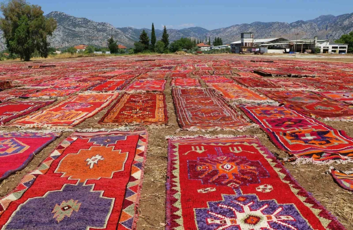 Antalya'daki halı tarlası turistlerin yeni ilgi odağı oldu