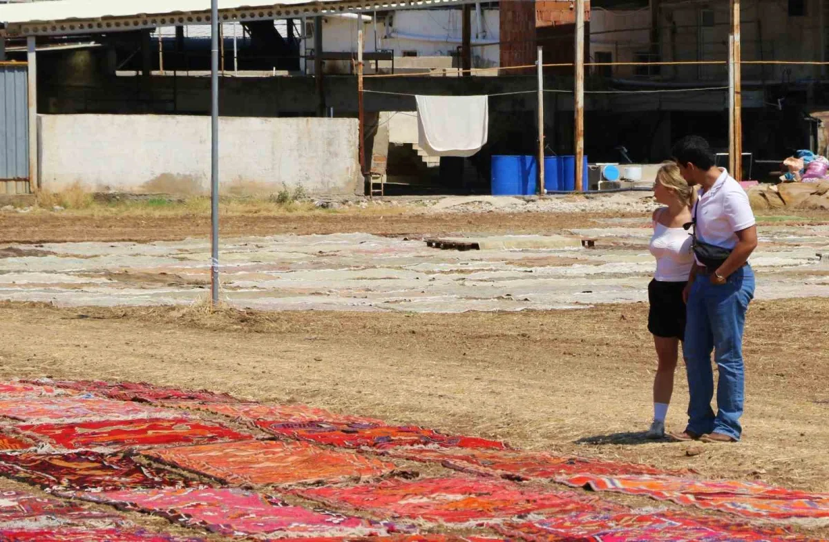 Antalya'daki halı tarlası turistlerin yeni ilgi odağı oldu
