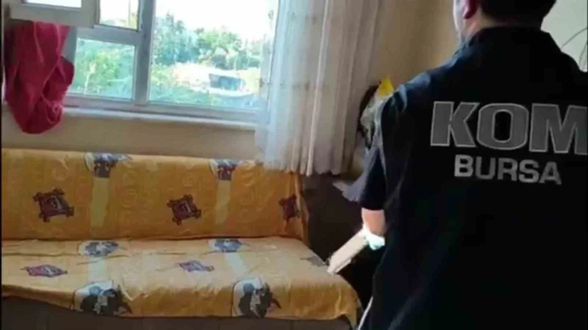Daltonlar operasyonu Bursa Orhangazi'de 7 kişi tutuklandı