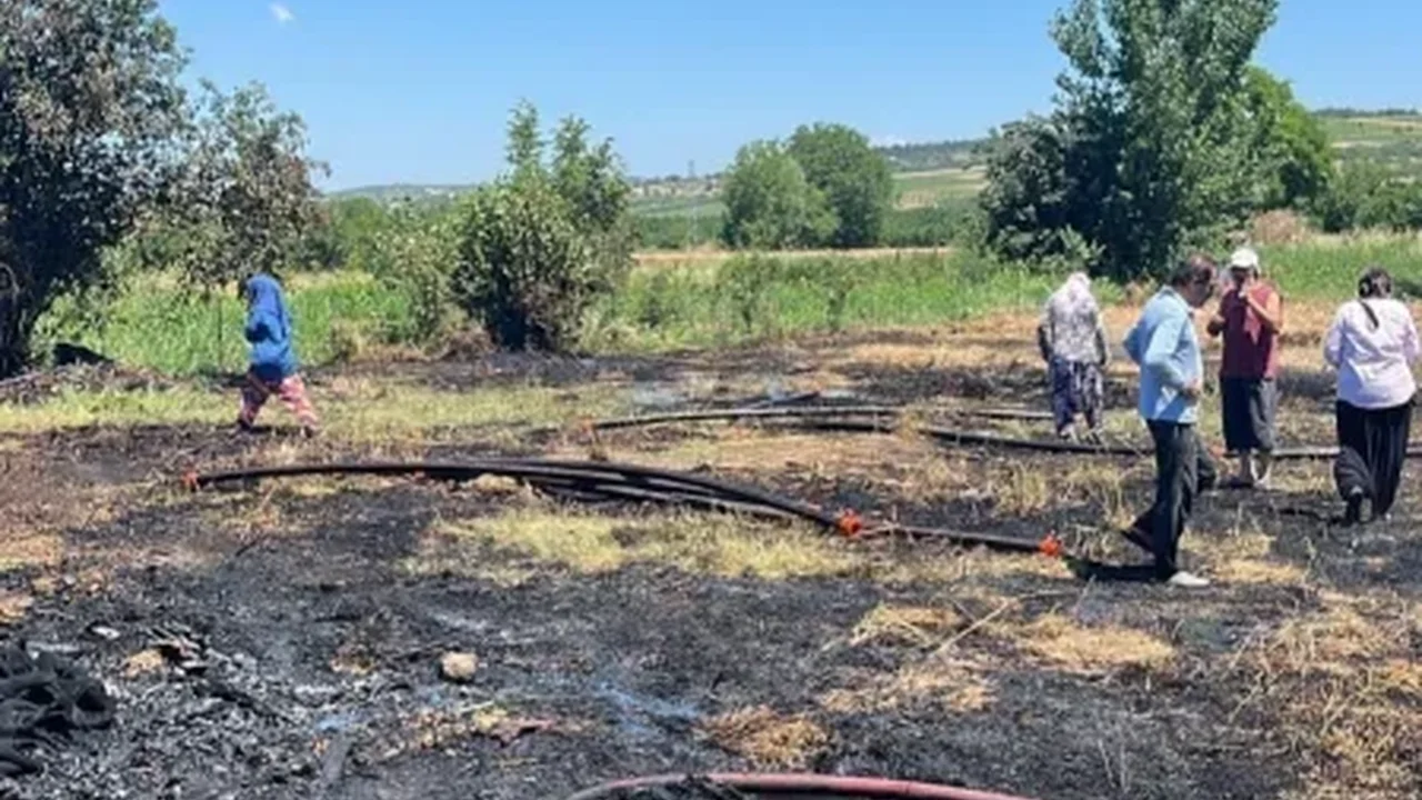 İnegöl'de anız yangını 20 dönümü küle çevirdi