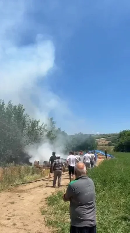 İnegöl'de anız yangını 20 dönümü küle çevirdi
