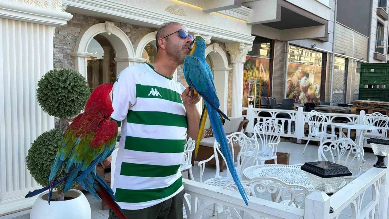 Mustafakemalpaşa'da papağanlarıyla gezen Orhan Kahraman ilgi çekiyor