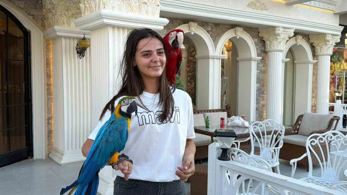 Mustafakemalpaşa'da papağanlarıyla gezen Orhan Kahraman ilgi çekiyor