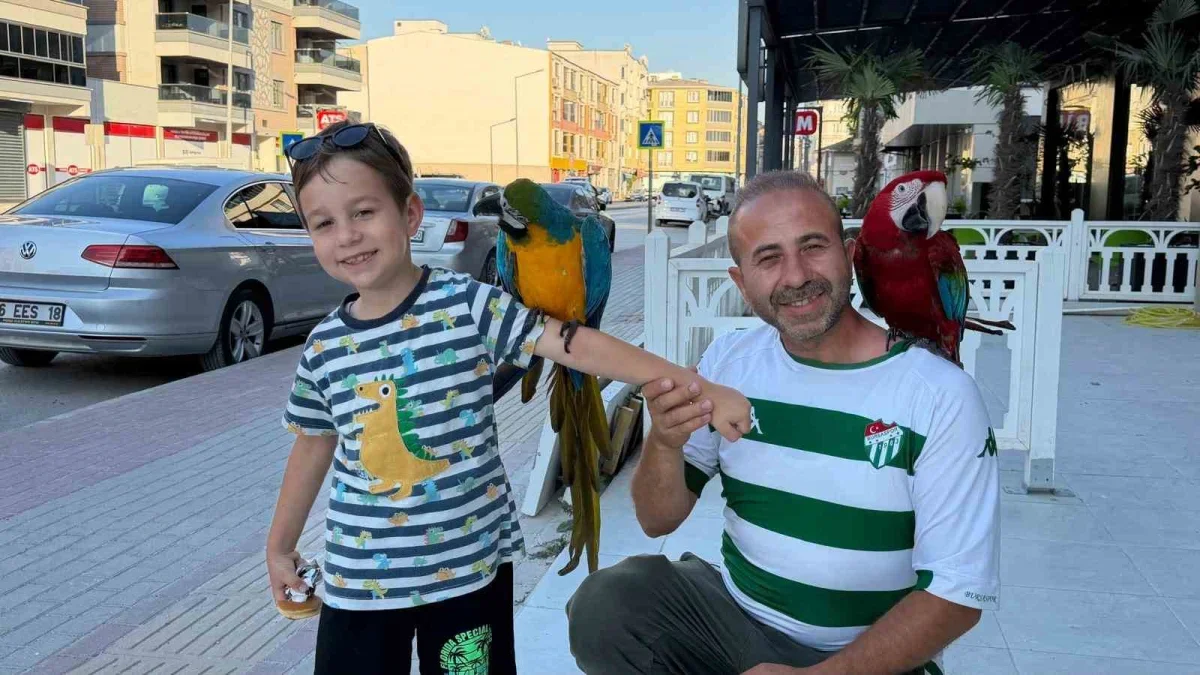 Mustafakemalpaşa'da papağanlarıyla gezen Orhan Kahraman ilgi çekiyor