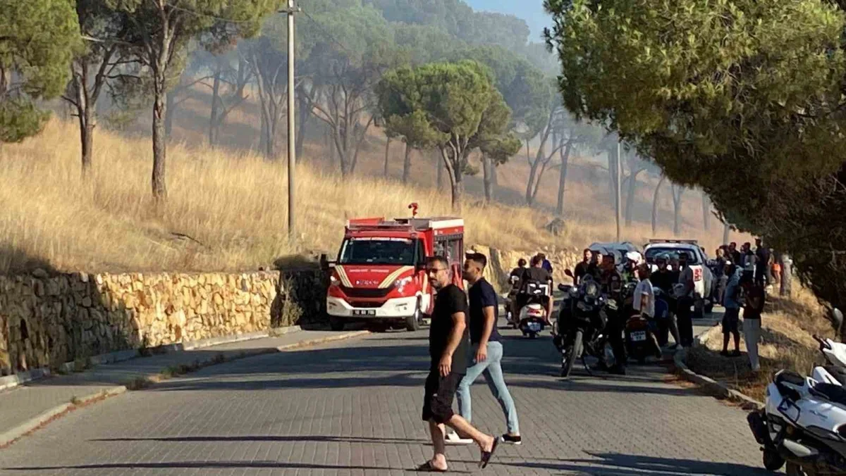 Balıkesir Ayvalık'ta örtü yangını kontrol altına alındı